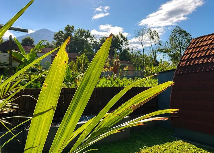 Stala Eco-cottage